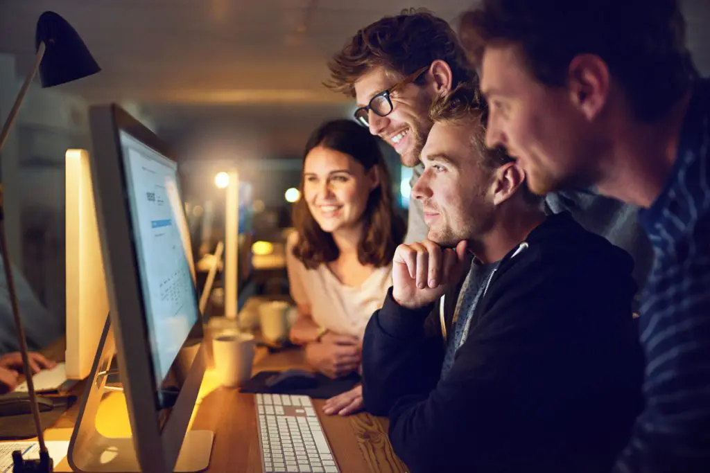 IT professionals